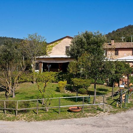 Agriturismo Torre Burchio Bettona Dış mekan fotoğraf