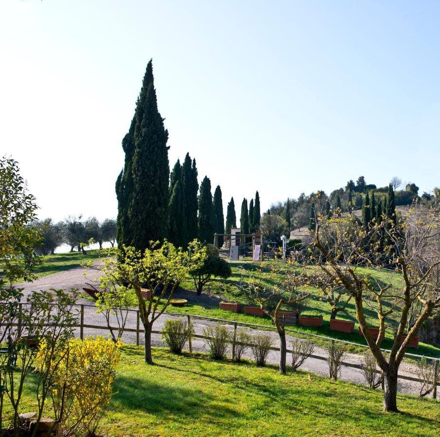Agriturismo Torre Burchio Bettona Dış mekan fotoğraf